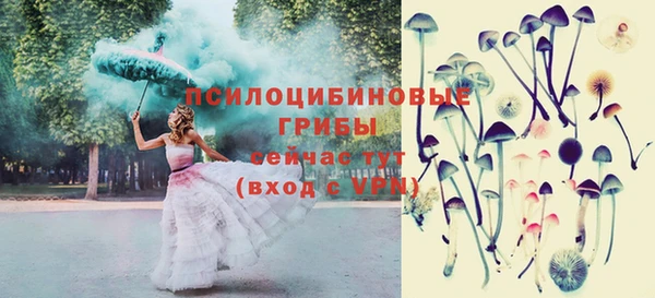 прущий лед Медногорск